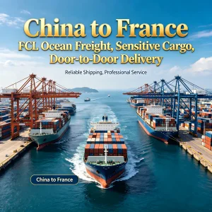 Economy Full Container FCL Shipping
