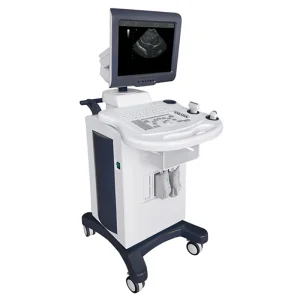Mobile Trolley 3D 4D Ultrasound Colour Doppler Echocardiography System