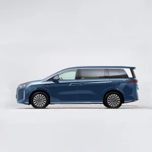 Byd Xia MPV Plug-in Hybrid Car Long-Range Low Emissions High Performance