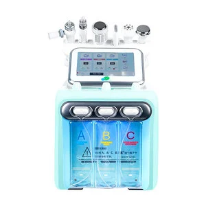 Hydra Gentle 2021 Hydro Dermabrasion Aqua Peel Machine-Desktop Small Bubble Hydro Facial with Exfoliators