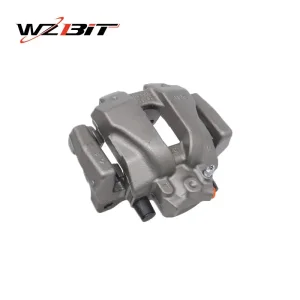 BMW Caliper