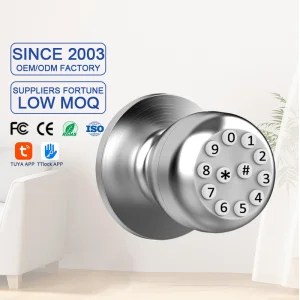 Indoor Ball Lock Electronic Smart Door Lock Tuya APP Password Lock