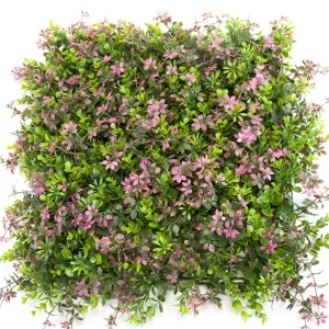 Boxwood Green Hedge