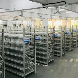 5 Gallon Display Rack