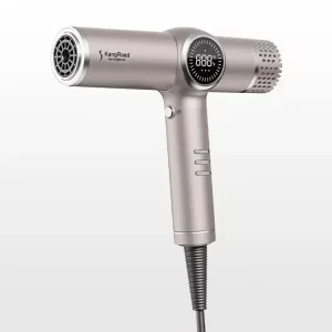 Custom 1200W BLDC Hair Dryer