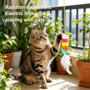 Indoor Automatic Cat Toys Door Hanging Motion Activated