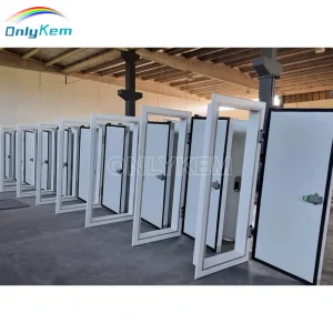 Insulated Walk-In Freezer Cold Storage Door with Durable Sealing and Energy-Saving Thermal Protection Design