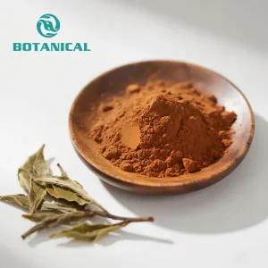 OEM catechin powder