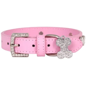 Designer Dog Collar