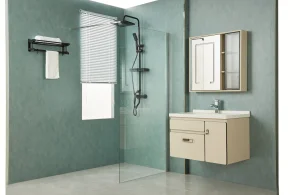 Frameless Shower Screen