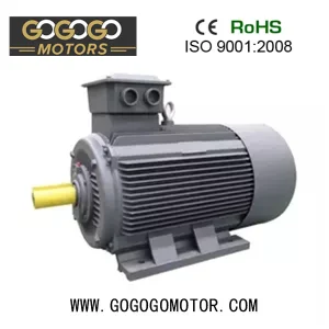 High Voltage Motor