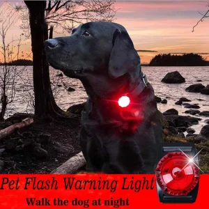 Clip-on Dog Collar Light