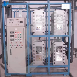 High Flow Eco-Friendly System Digital Control Long Service Life Packaged EDI Skid for Medical Use