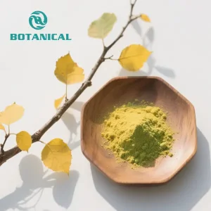 Fisetin Supplement Powder