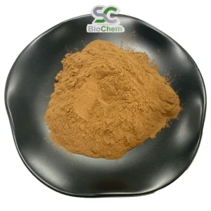 Free Sample Natural Herbal Plant Bacopa Monnieri False Purslane Extract