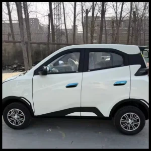 Coche Seagull