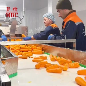 Stainless Steel Potato Peeling