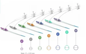 Microapproach CE Disposable Femoral Radial Vascular Access Introducer Sheath Kit Guiding Sheath