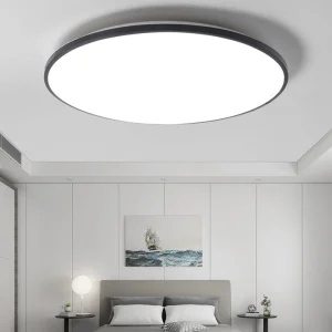 Smart Ceiling Lamp
