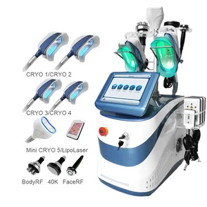 360 Cryolipolyse Cellulite Reduction
