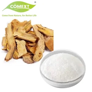 Resveratrol Polygonum Cuspidatum