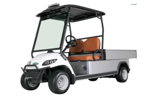 Lvtong Electric Golf Cart: Cargo Box for Golf Course Utility
