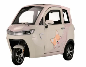 Global Leading  Electric Tricycle Fully Enclosed Trike Passenger Tricycle for Family Use（CJ-DK13) Manufacturers, Supplier