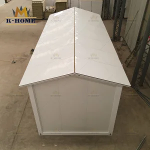 Modern Mobile Tiny House