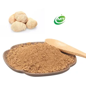 Top Grade Organic Lions Mane Extract Powder Medicinal Mushroom Extract