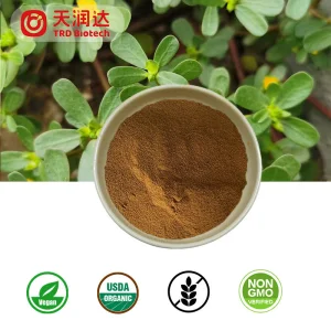 Factory Supply Bacopa Monnieri Leaf Extract Wholesale Organic Bacopa Bacosides Powder