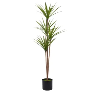 Artificial Dracaena