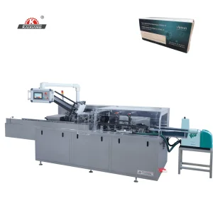 Automatic Cartooning Machine for Multi Sachets Tea Bags Packaging Into Cartons
