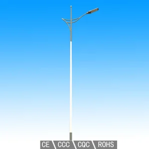 Residential Solar LED Street Lighting Solution