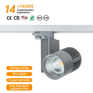 Adjustable LED Spotlight Track Lighting for Versatile Home Use