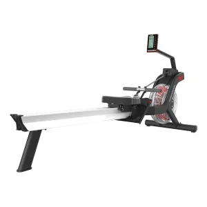 Commercial Air Rower