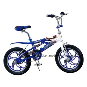 Custom BMX