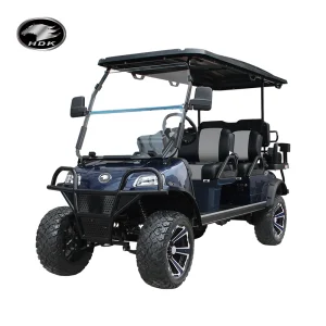 Dortmund 6 Seat Custom Sightseeing UTV