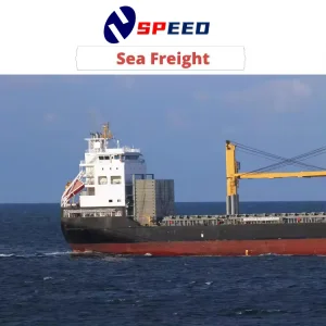 Dangerous Cargo Global Logistics From Shenzhen to USA/Canada/Mexico