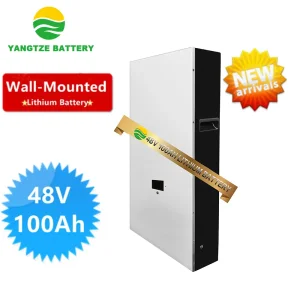 Wall-Mounted 8000 Cycles Life 5kwh 48V 100ah Energy Storage LiFePO4 Lithium Battery Pack with Smart BMS RS485 for Solar System UPS Telecom