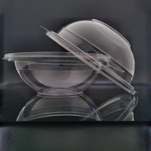 Biodegradable PLA Salad Bowl