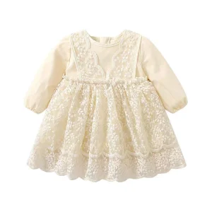 Lace Embroidered Dress
