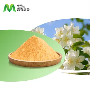 Food Grade Jasmine Green Tea Powder