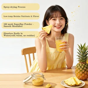 Polvo de jugo de piña deshidratado