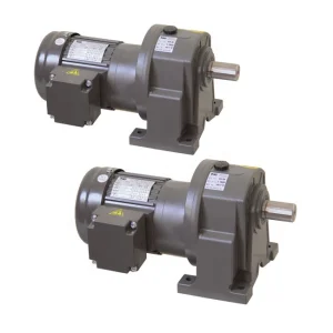 AC Induction Gear Motor