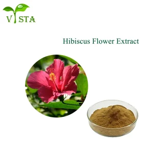 High Quality Plant Extract 5% 10% 20% Anthocyanidins Powder Roselle Extract Hibiscus Sabdariffa Flower Extract