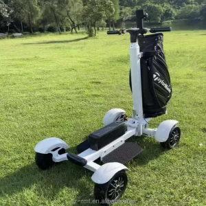Golf Course Resort Street Legal LSV Electric Golf Cart Four Wheel Utility Fleet Aluminium 150kg Load Capacity 20km/h Max Speed