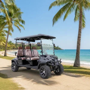 HIGHTOP Electric 4 Stroke Golf Cart Gated Community Transport Multi-Passenger Buggy Street Legal Lithium Battery 3-4 Seats Motor
