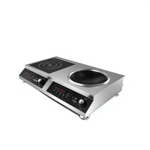Double Electric Induction Cooker