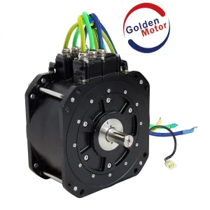 20KW EV Motor