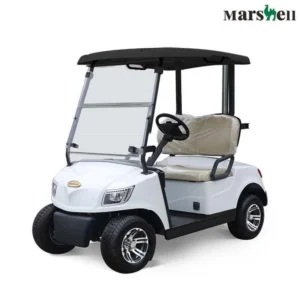 Guangdong Marshell Electric Golf Carts CE Approved Buggy New Model for Sale (DG-M2)